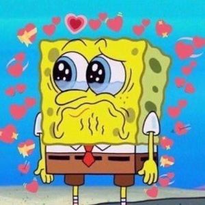 Meet your Posher, Kailin